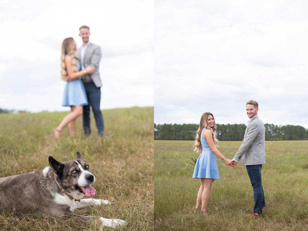 Hancock Orange Groves Engagement Session Puppy staring at camera and Couple in the back