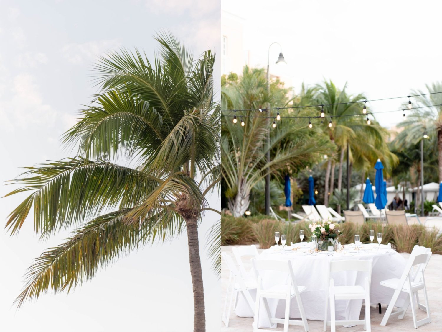 wedding reception table in blush and golden colors white chairs palm trees by the beach