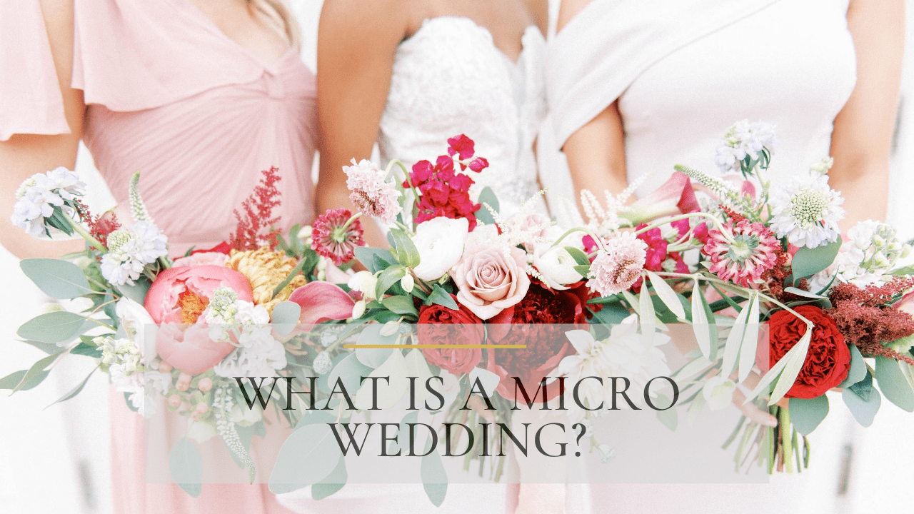 What is a micro wedding tampa micro wedding photographer ruth terrero photography