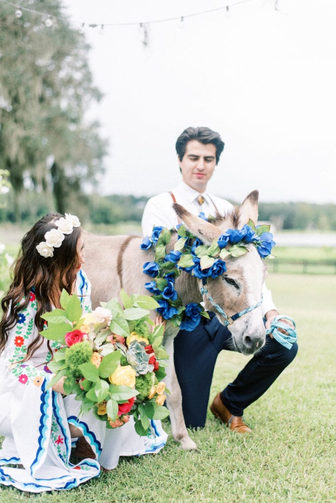 covington farm wedding bride and groom with donkey