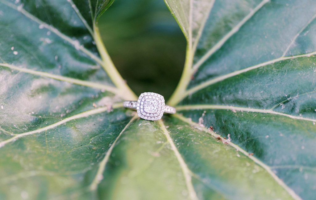 Engagement ring photo on a plant leaf for engagement photo session in Tampa
