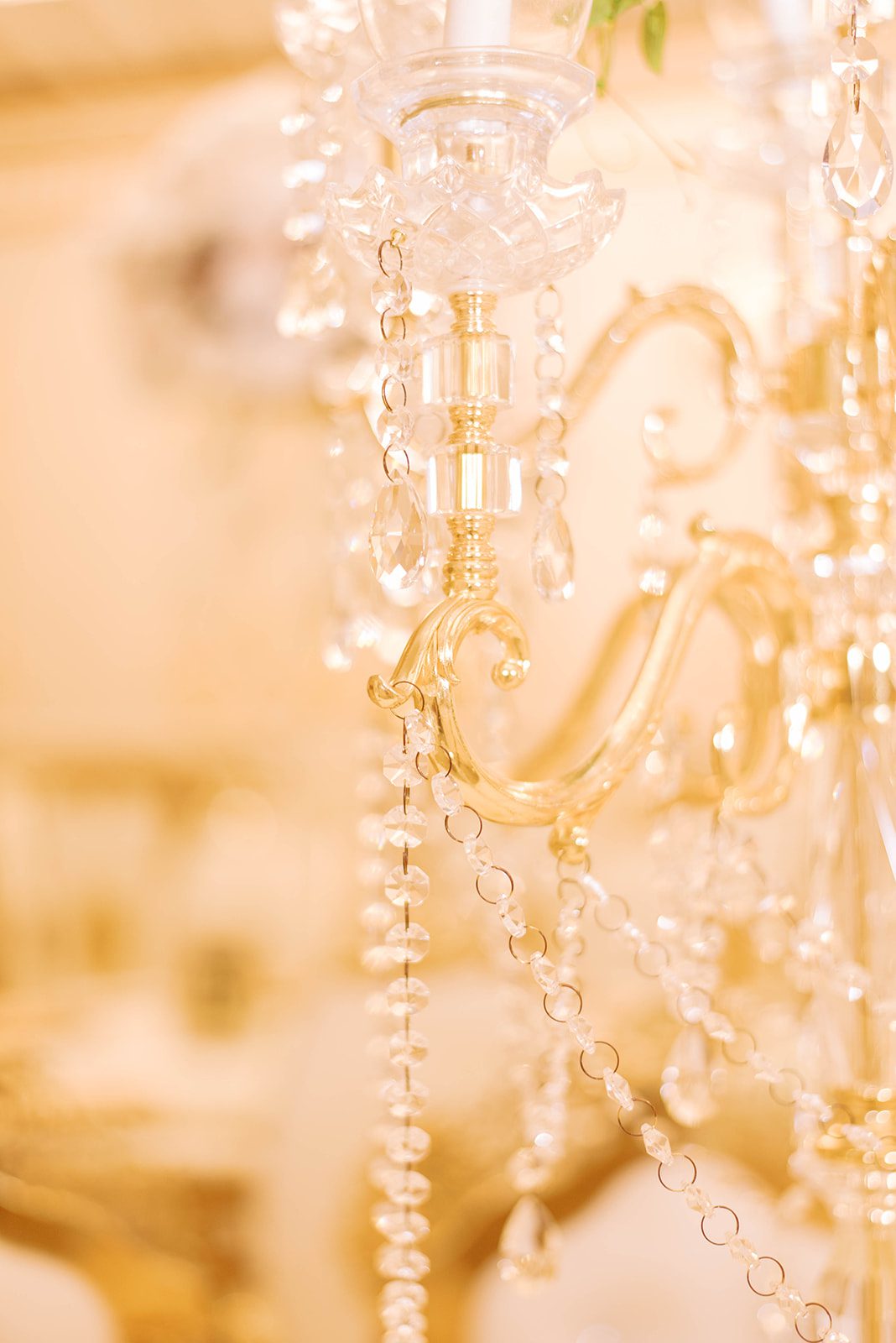 crystal chandelier detail shot in Tampa Florida wedding venue Chic Venue Tampa Wedding