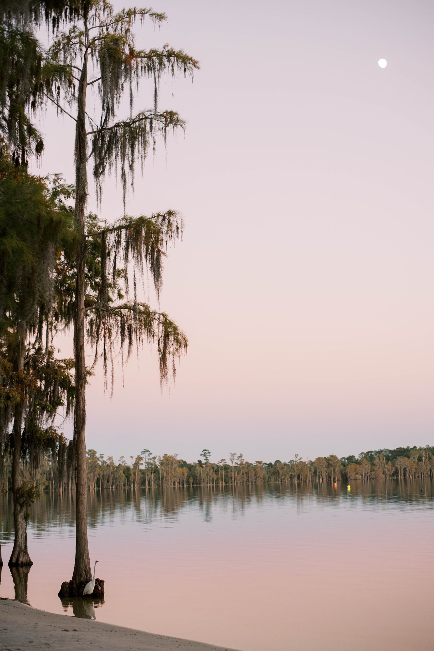 waterfront Paradise Cove view in Orlando FL