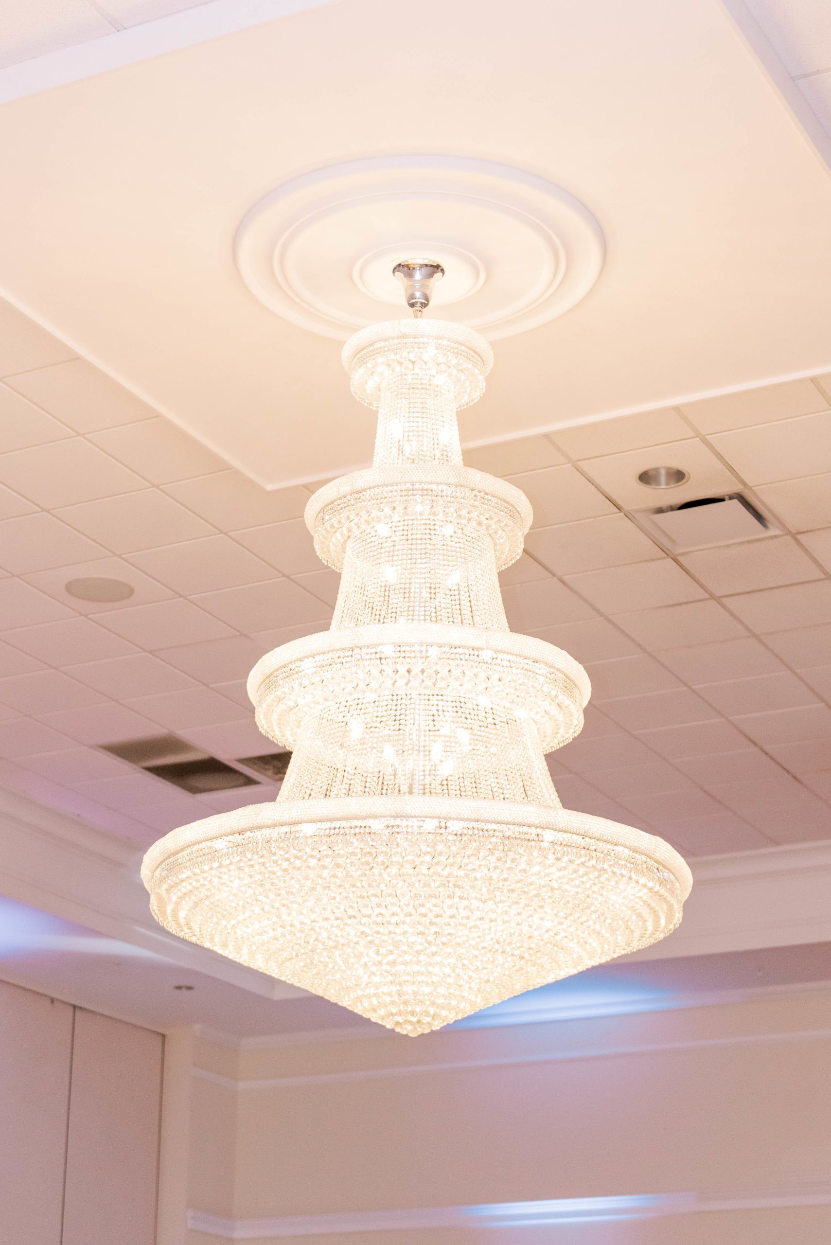 The regent wedding reception chandelier