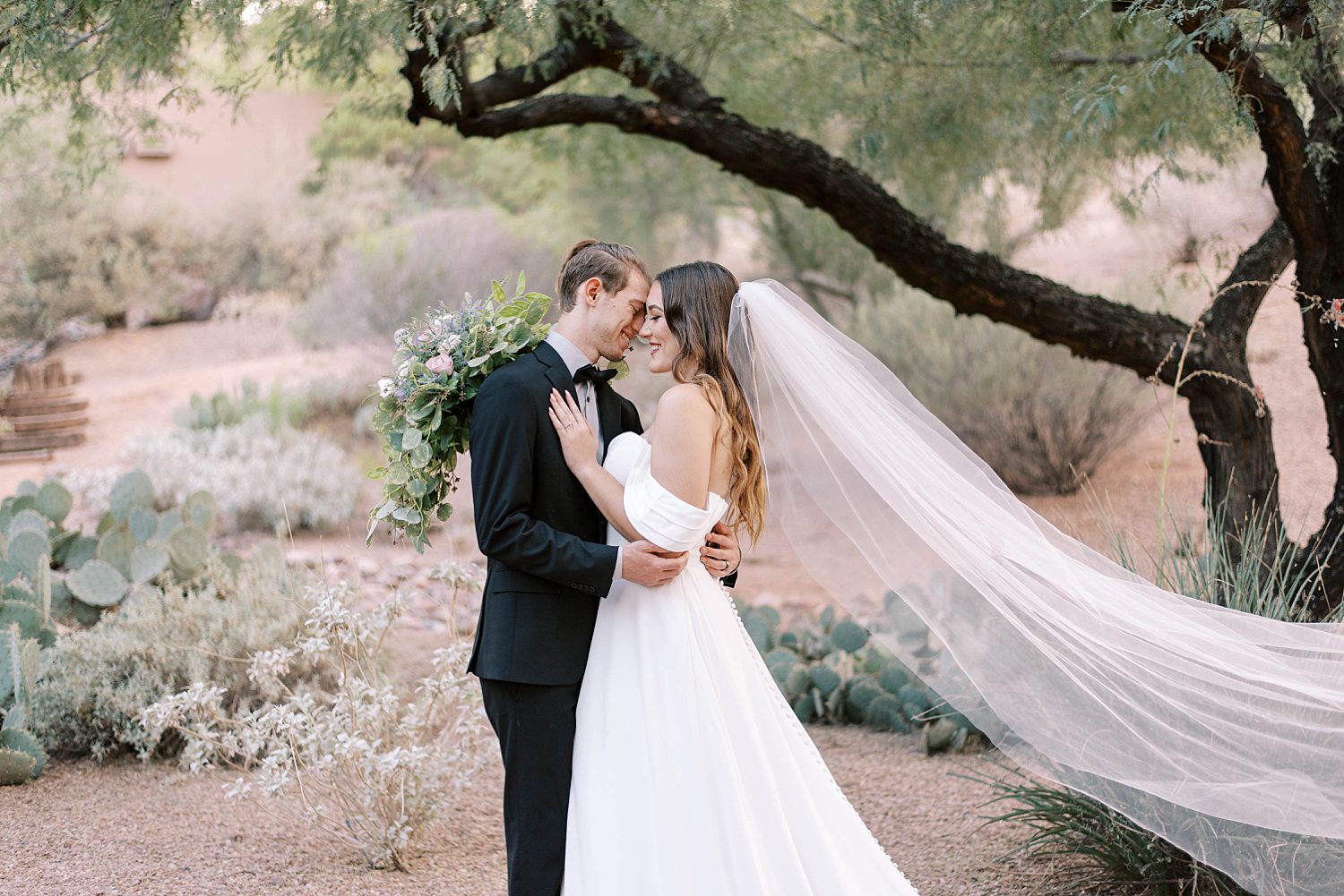 bride and groom hug by tree in Arizona with bride's veil floating