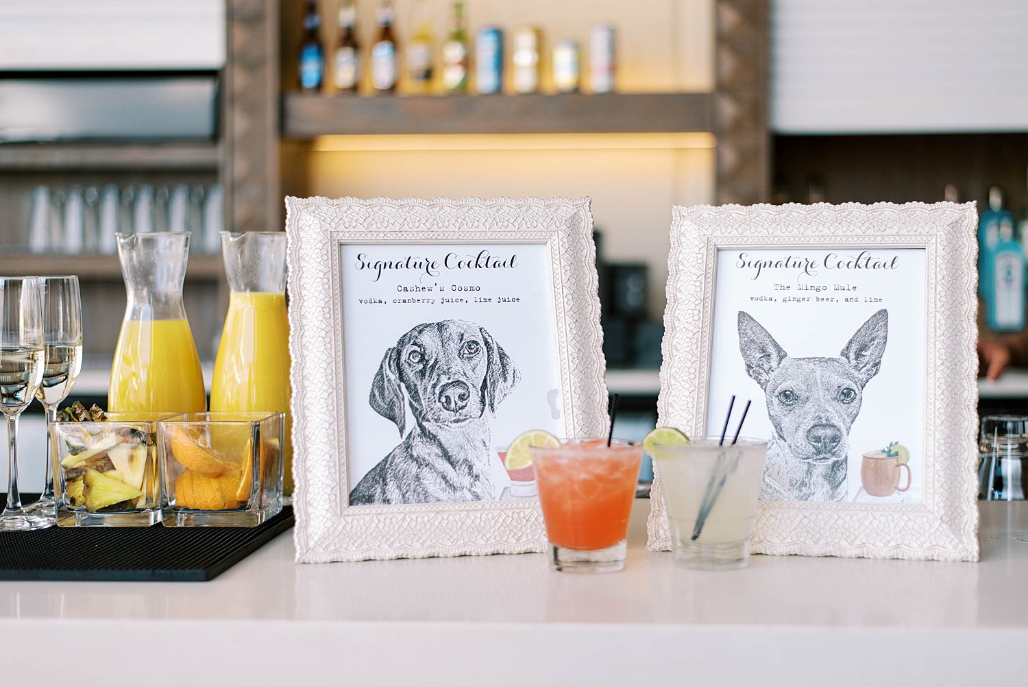signature drinks inspired by dogs