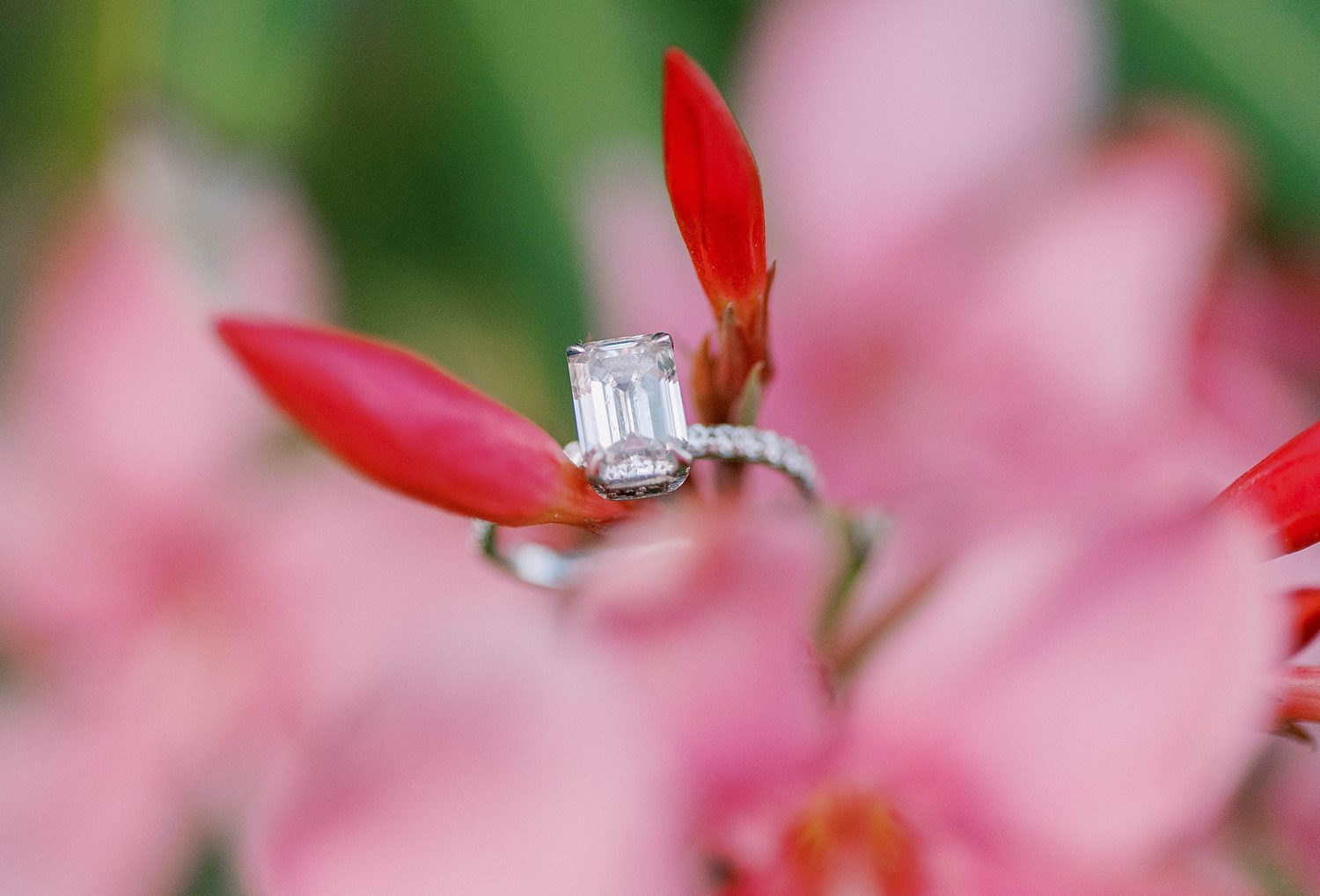 diamond ring rests in pink flowers during St. Pete engagement session