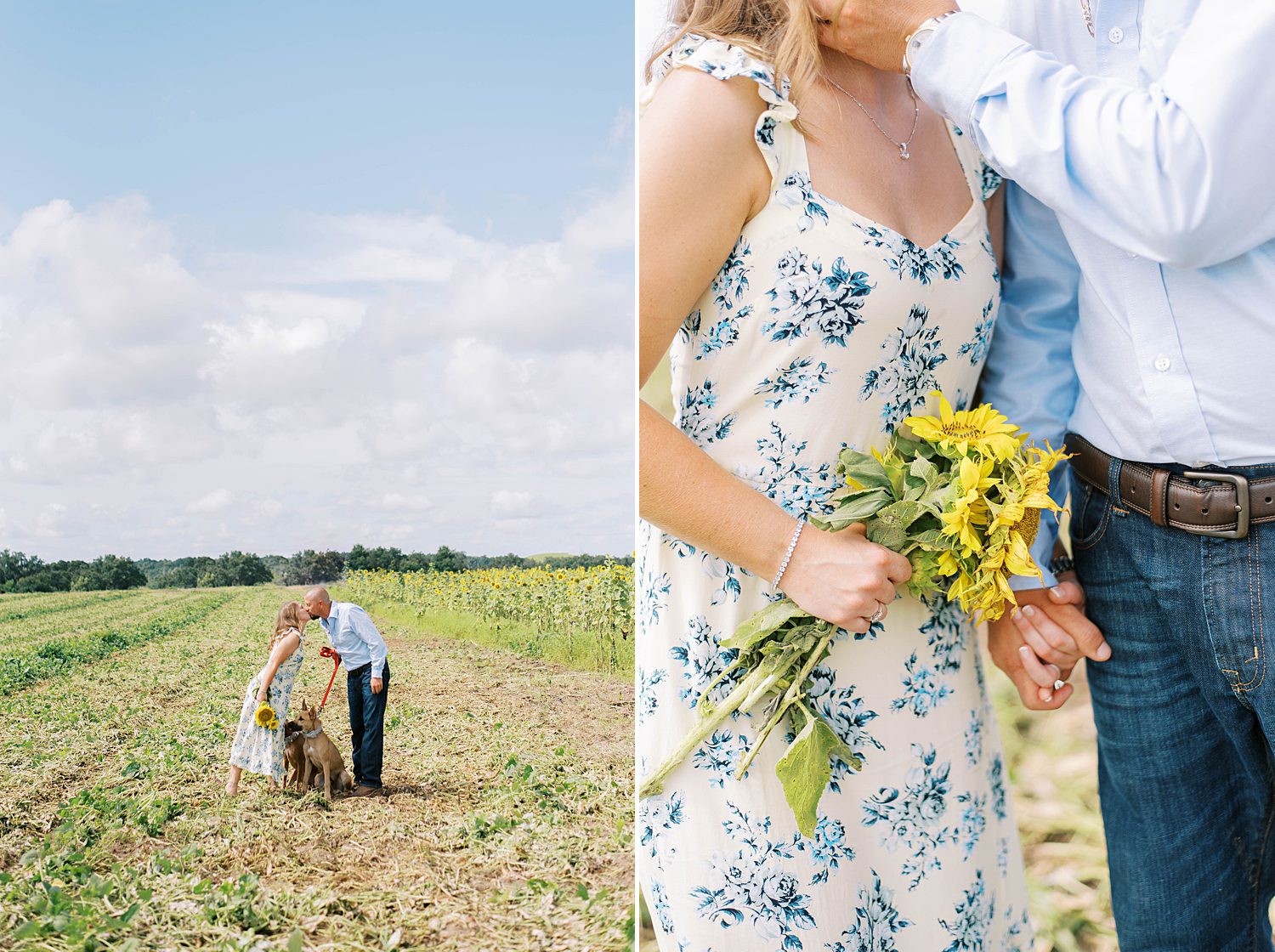 engaged couple stands in field kissing while dogs sit beneath them 