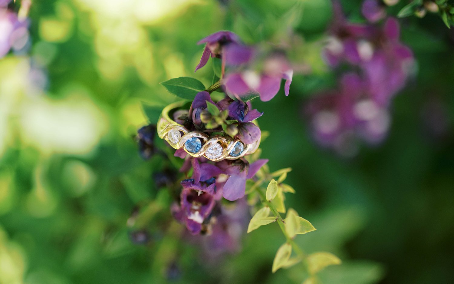 diamond and sapphire ring rests on purple flowers