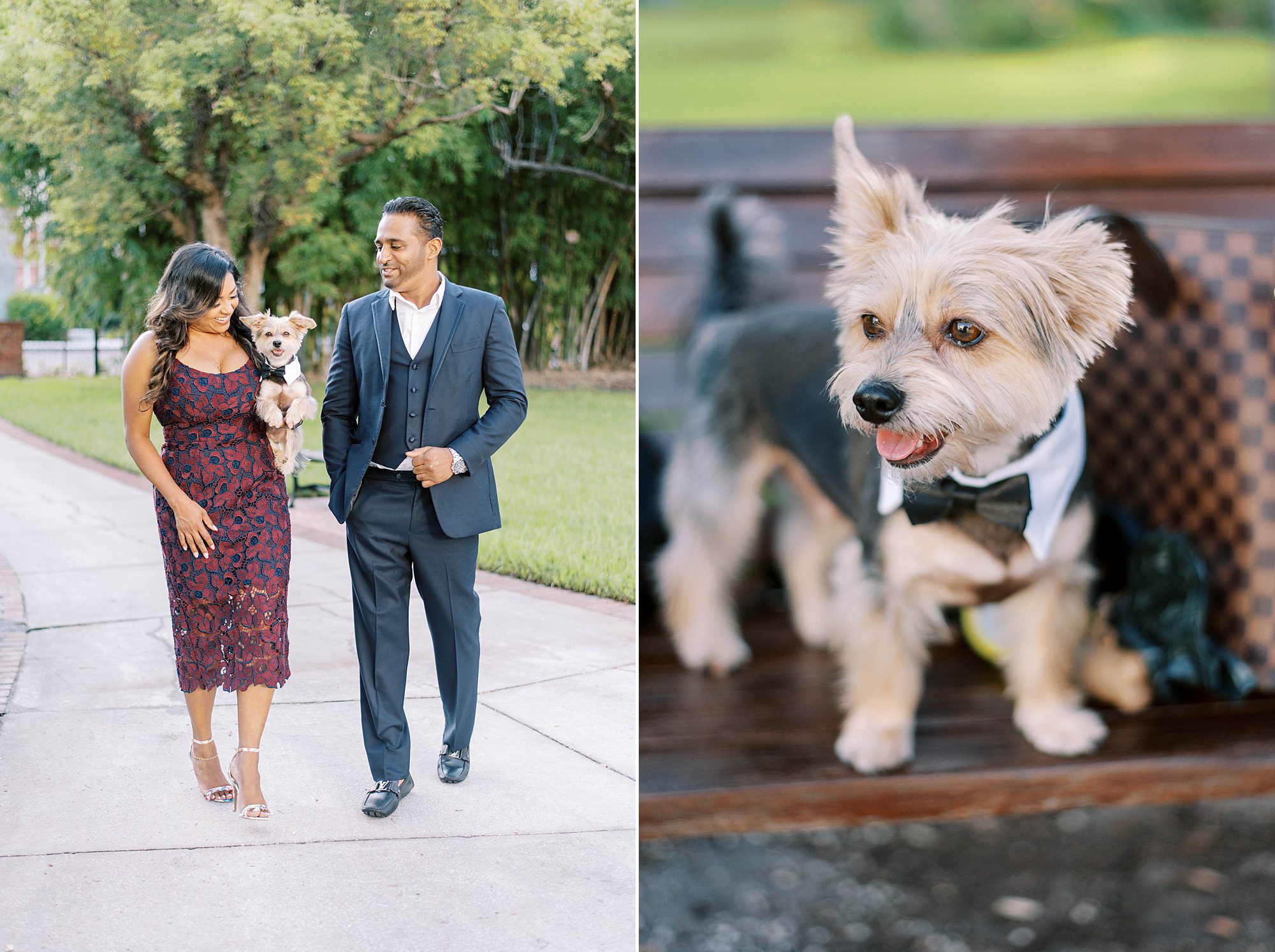 engaged couple walks with dog in tuxedo for University of Tampa engagement session