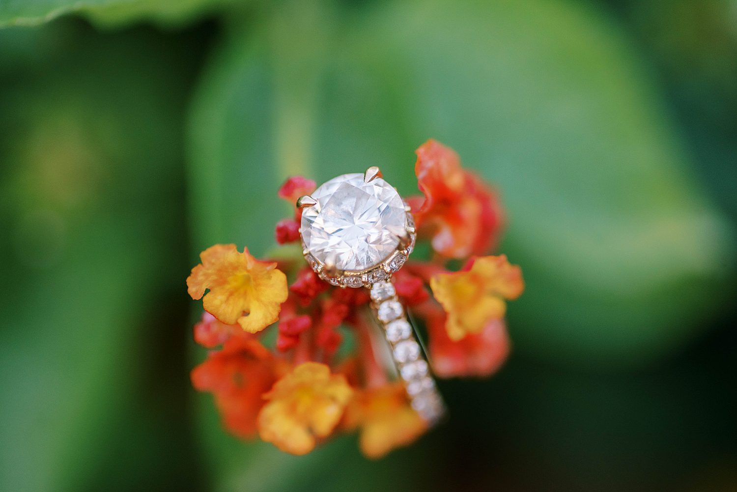 diamond ring rests on yellow flowers