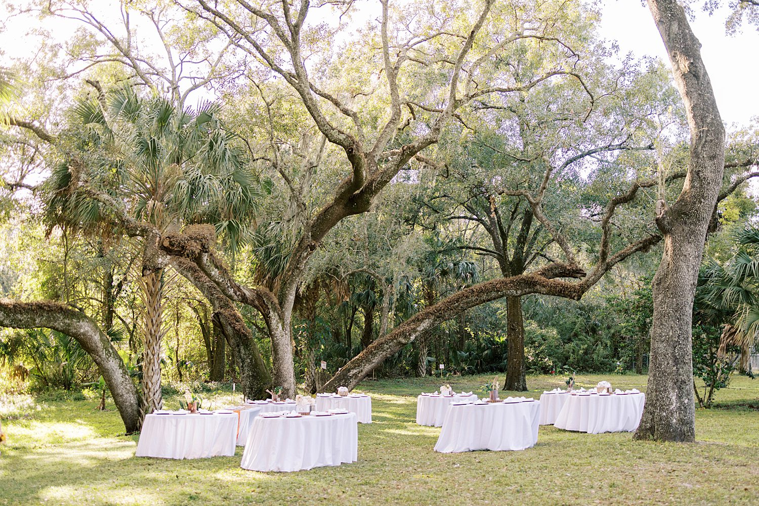 Events Under the Oaks wedding reception with tables under the trees