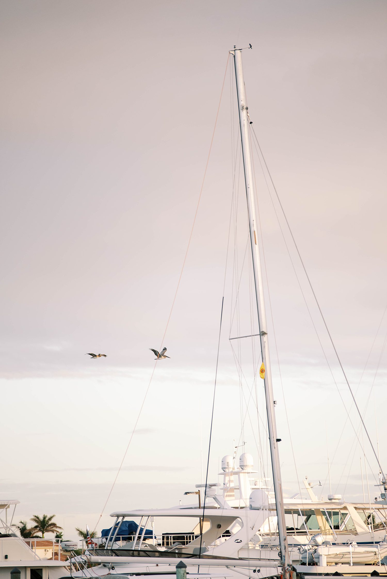 sailboat rests in Sarasota Yacht Club marina