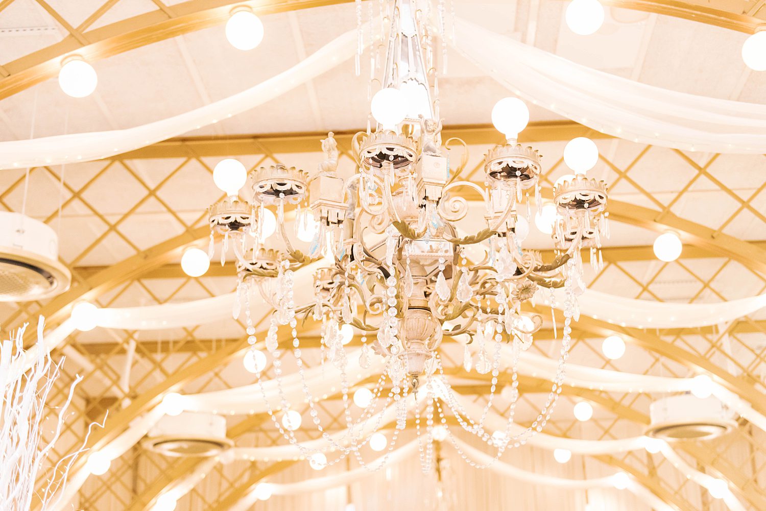 gold chandelier hangs from ceiling at Kapok Special Events