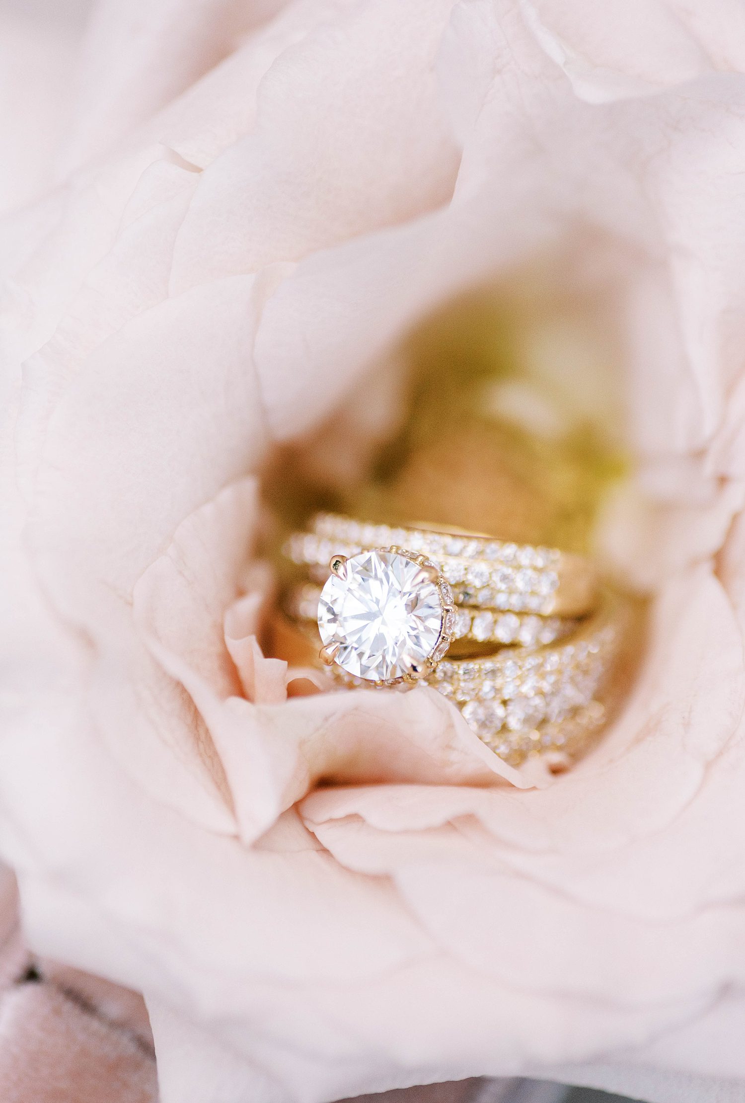 gold wedding bands rest stacked together in pink peony