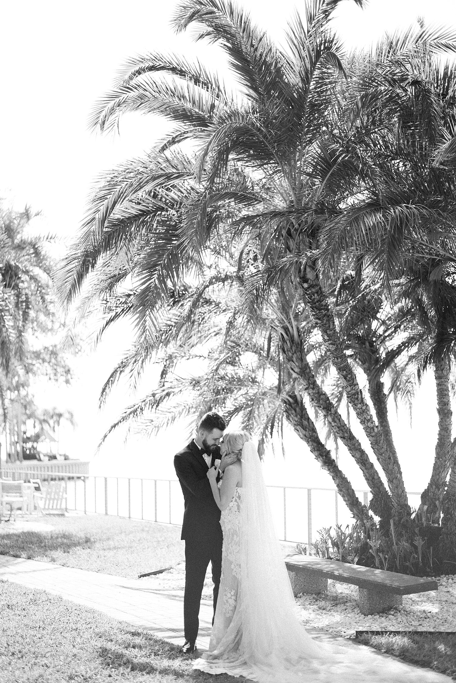 black and white portrait of bride and groom kissing under palm tree at The Godfrey
