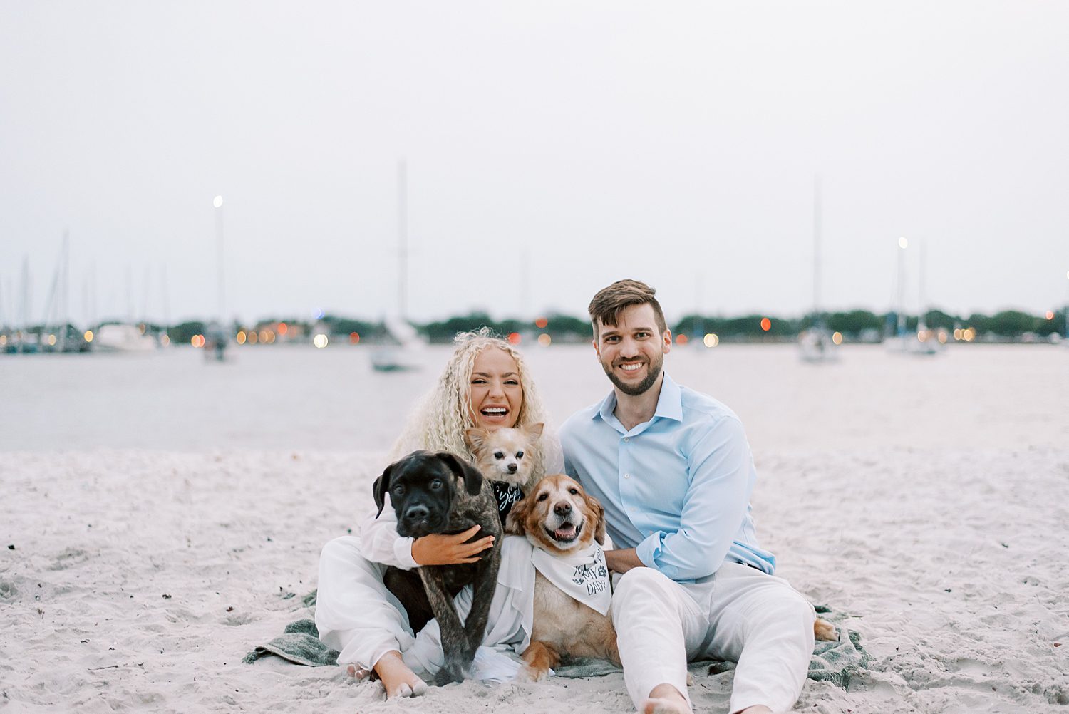 engaged couple sits with three dogs on Davis Island beach