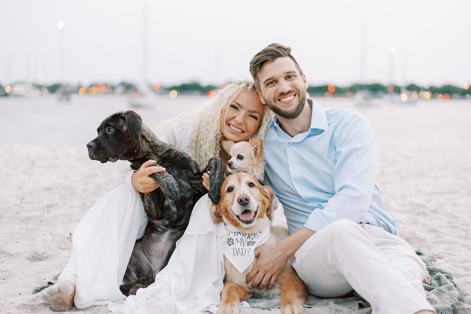 bride and groom sit on beach on Davis Island with three dogs