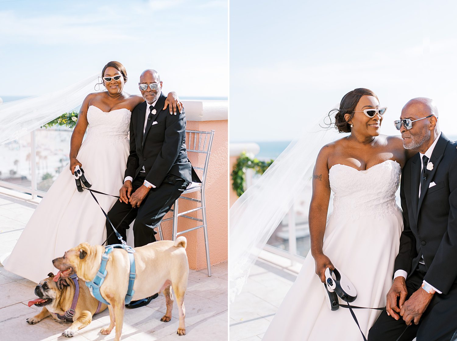 bride and groom sit on patio with dogs at the Hyatt Clearwater