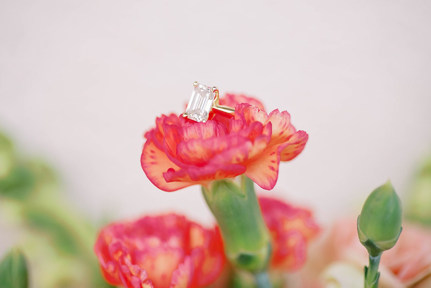 diamond ring rests on pink carnation during Ybor City engagement session