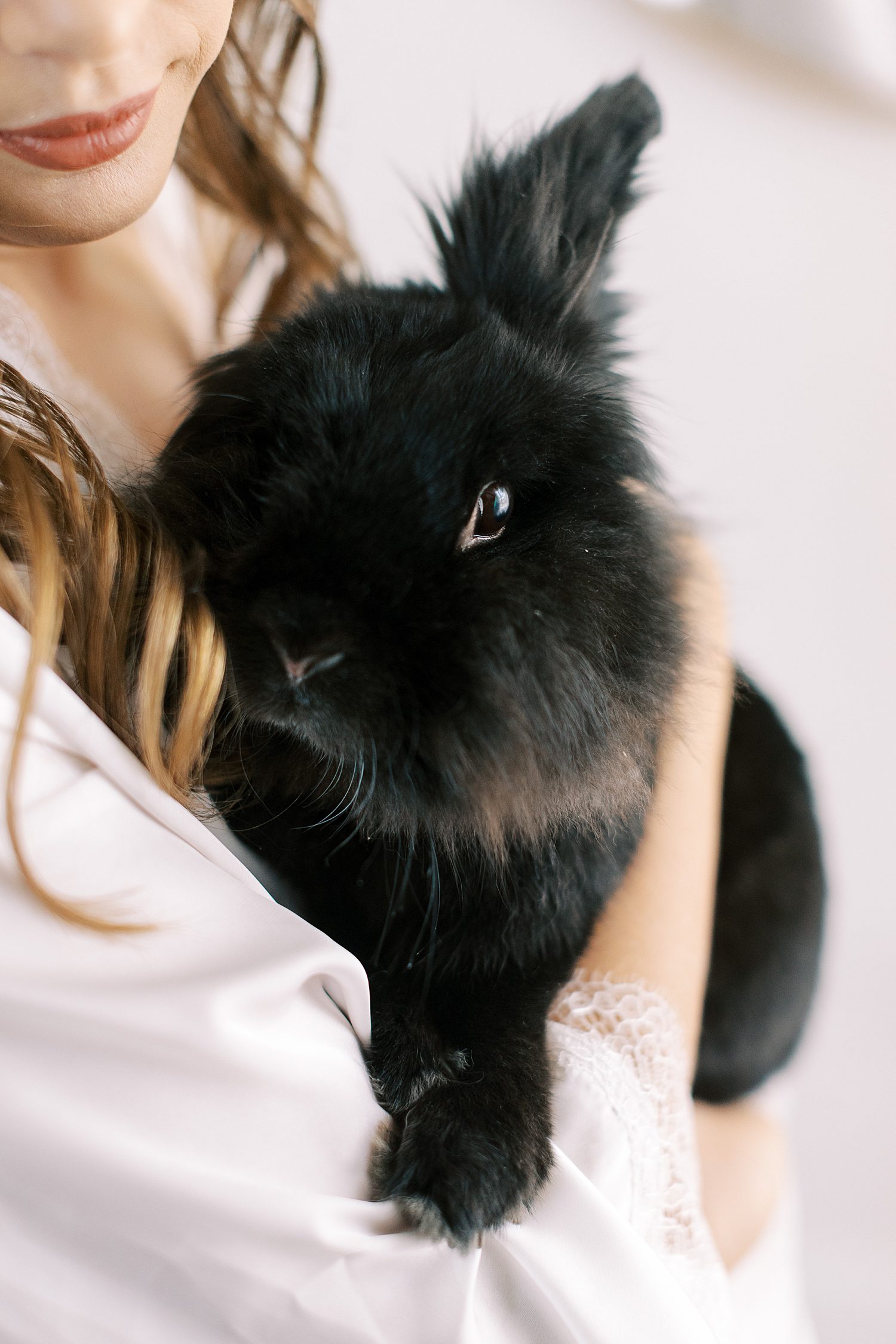 bride snuggles black rabbit during prep on wedding morning 