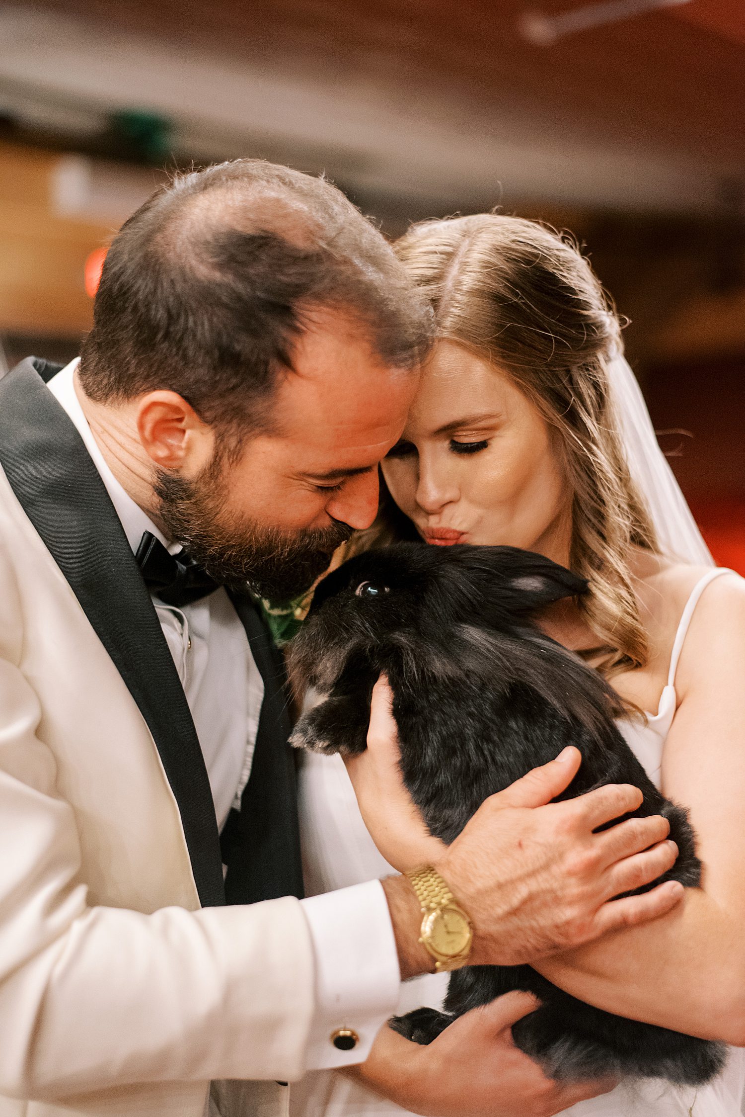 bride and groom lean to kiss pet rabbit during Tampa wedding day