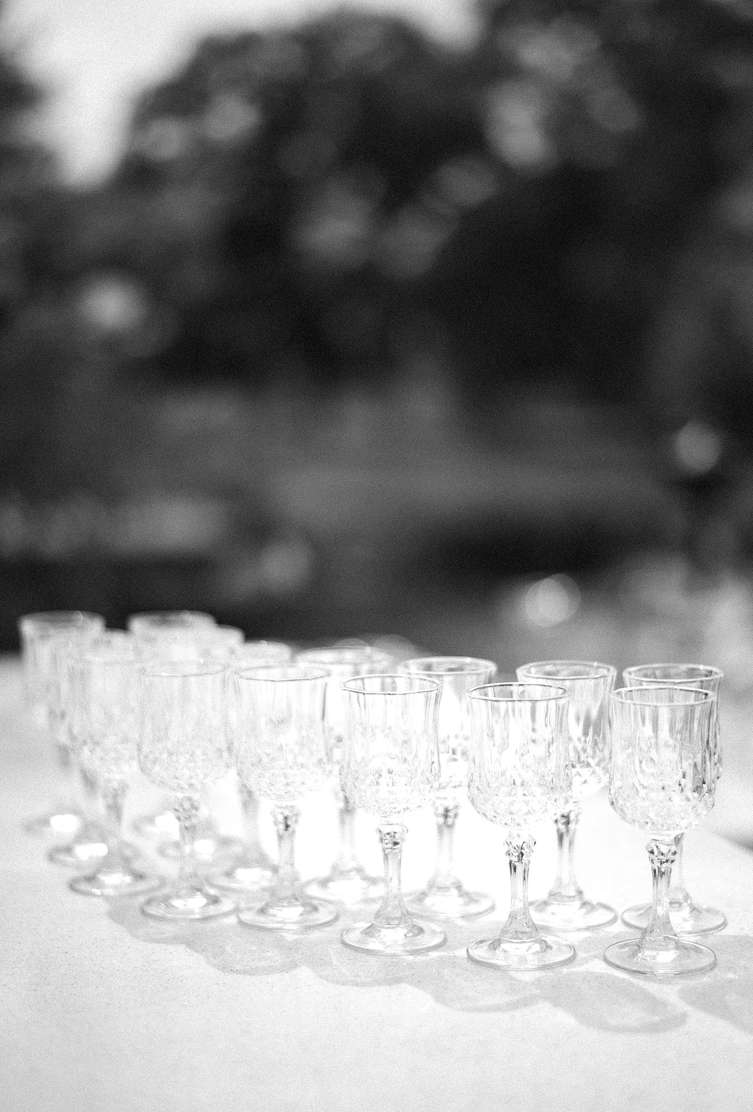 champagne glasses lined up under tent at Mill Pond Estate