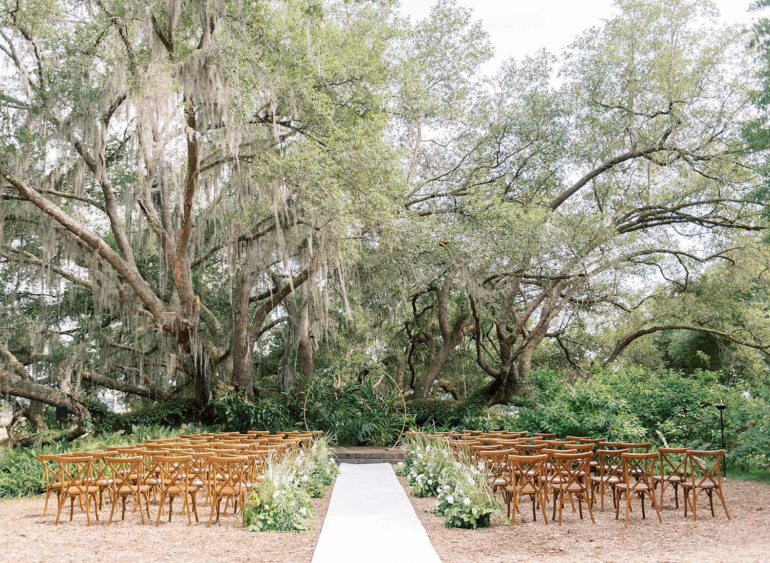 ceremony setup under oak tree with wooden chairs along aisle at Mill Pond Estate