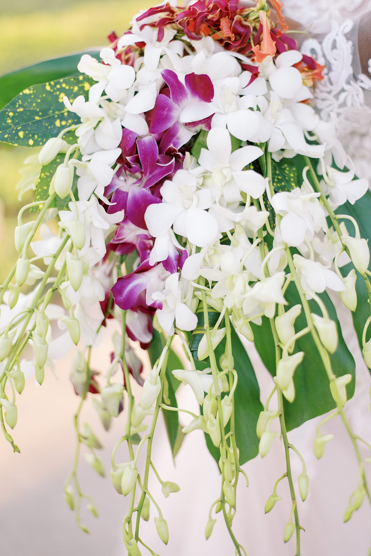 purple and white cascading tropical bouquet for bride 
