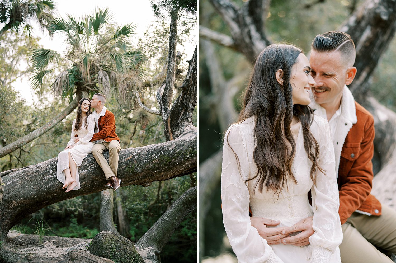 engaged couple sits on branch of tree inside Hillsborough River State Park