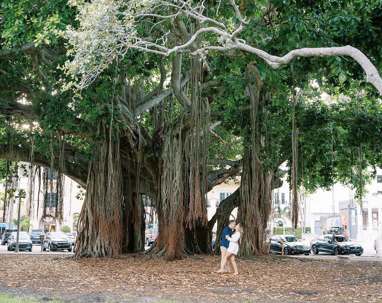 engaged couple hugs between trees at Tampa Museum of Fine Arts