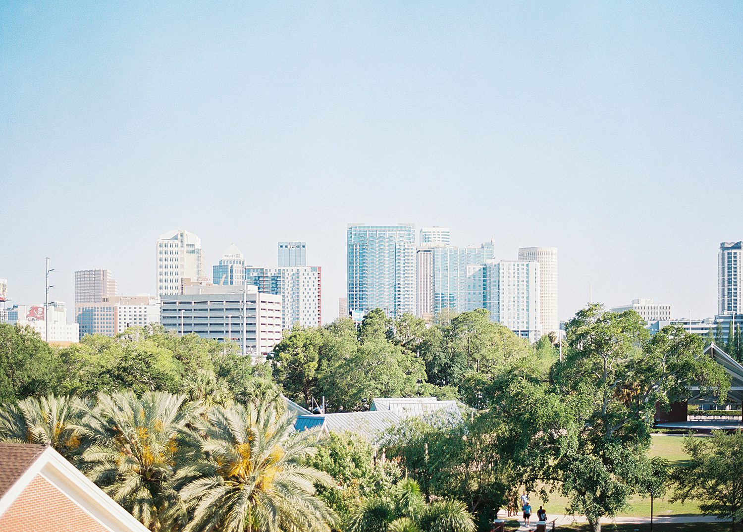 view of Tampa FL from rooftop 220 at Armature Works
