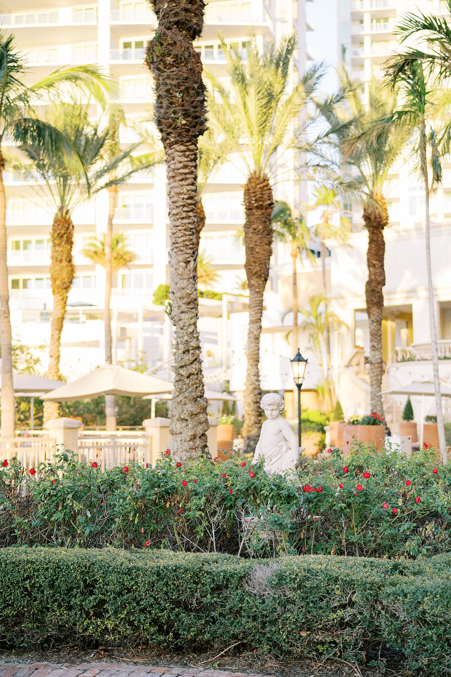view of gardens at the Ritz Carlton Sarasota