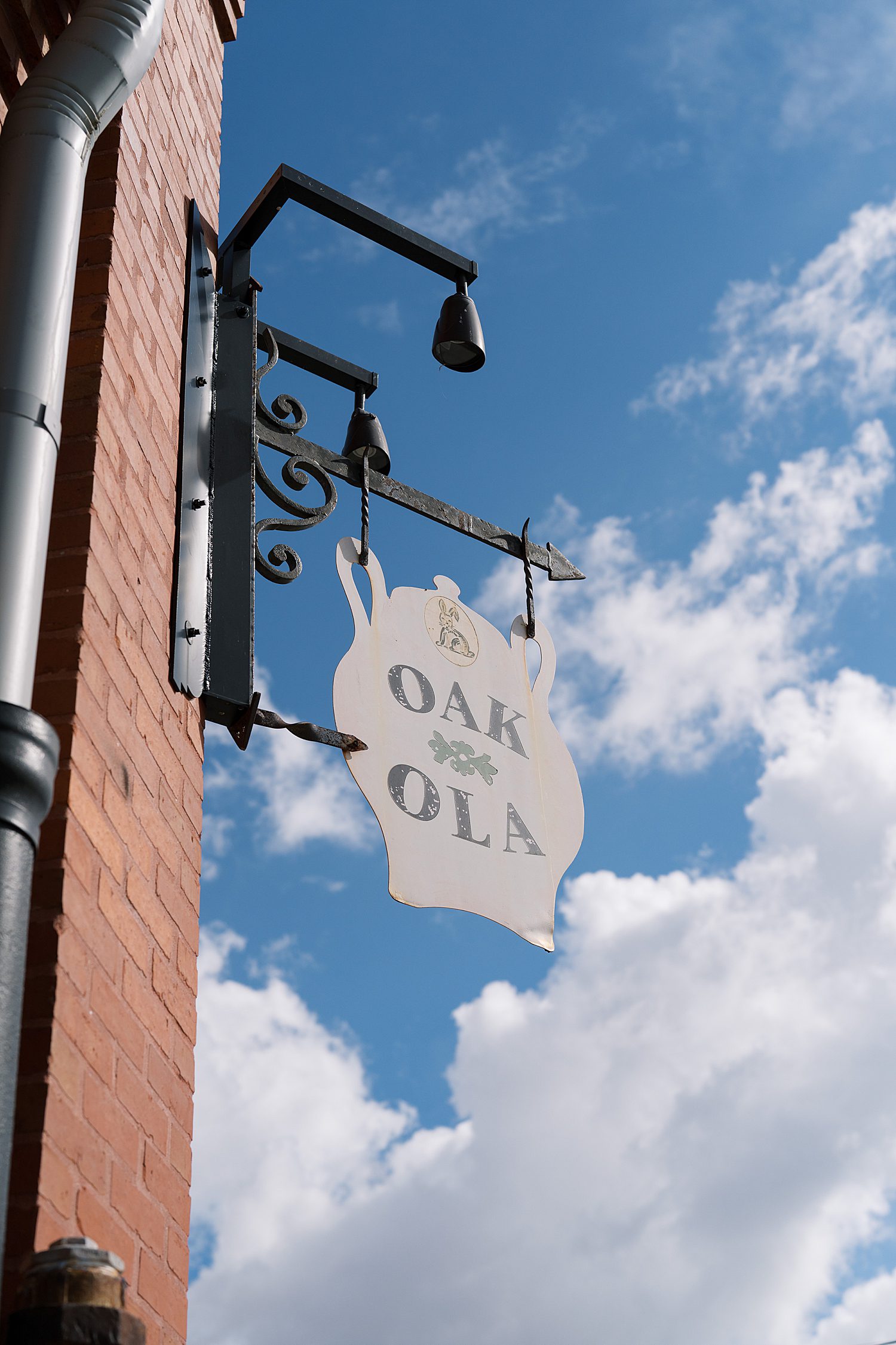 Oak and Ola Wedding Reception