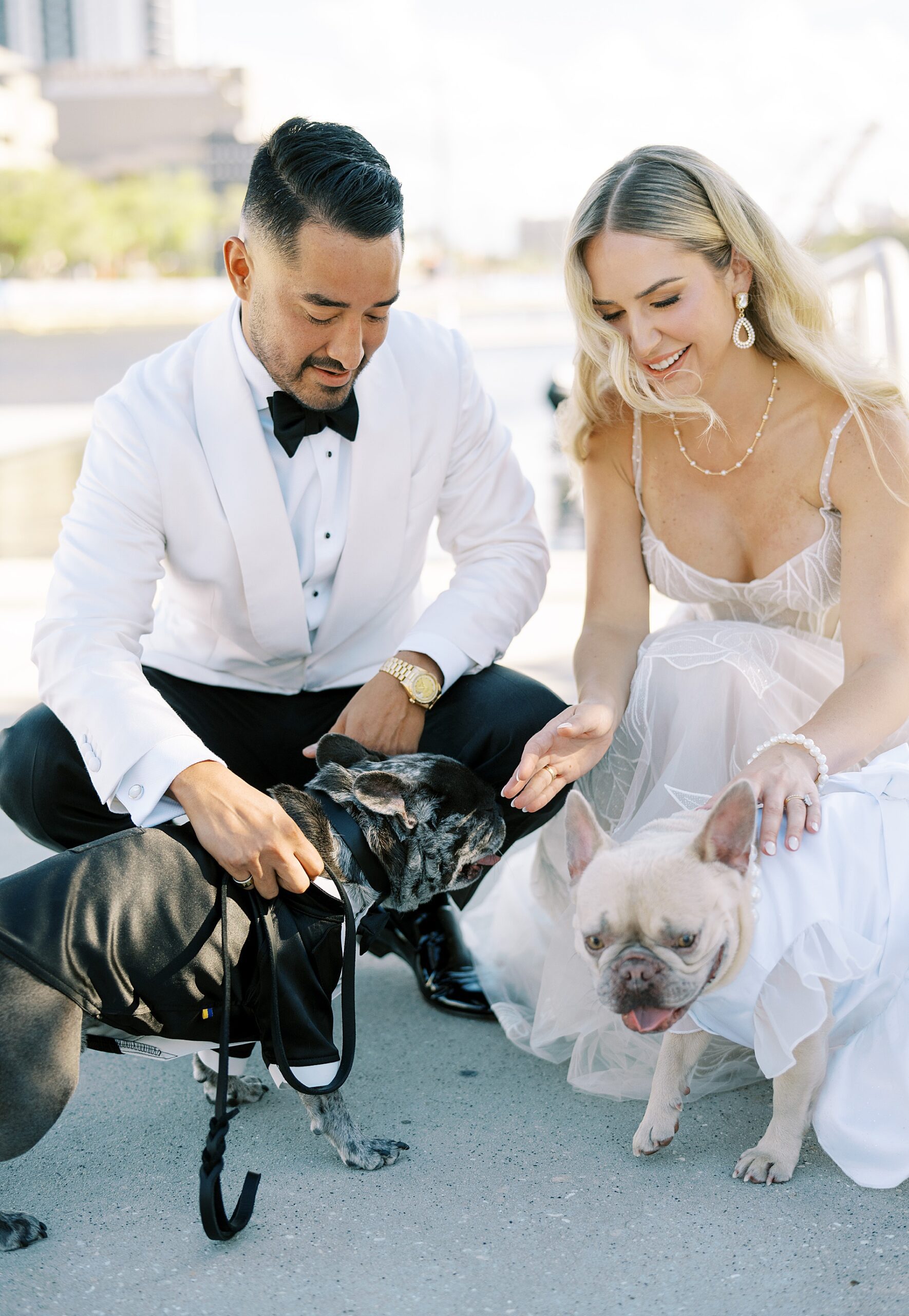 wedding photos with dogs 
